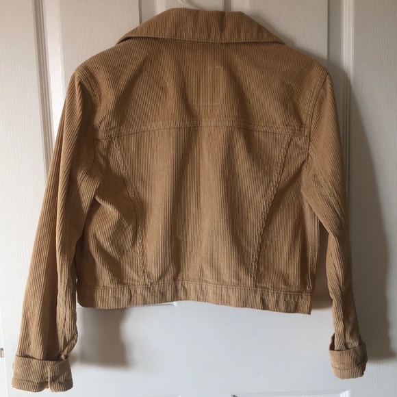 Corduroy Hollister Jacket - Picture 3 of 3